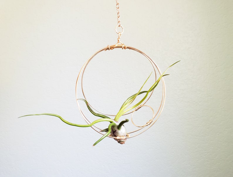 Geometric Hanging Air Plant Holder Set, Airplant Hangers, Moon Inspired Wall Decor, Himmeli, Gift For Plant Lover, Mom, Free Gift Boxes image 10