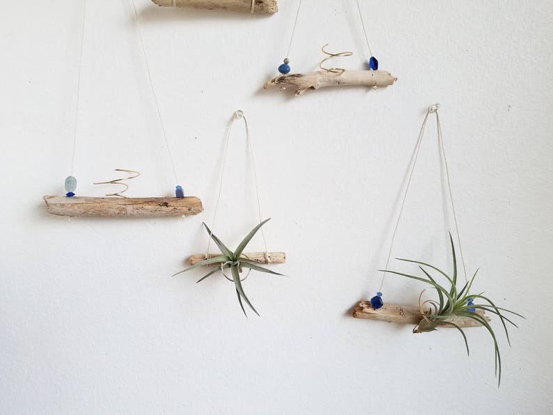 Driftwood Air Plant Holder WITHOUT Plants, Small Airplant Hanger, Natural Boho Decor, Wood Decor, Beach House Wall Decor, Gardening Gift image 3