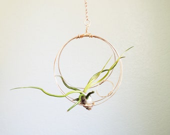 Hanging Planter, Air Plant Holder, Minimalist Celestial Inspired Airplant Wall Planter, Boho Decor, Housewarming Gift, Gift Box, under 25