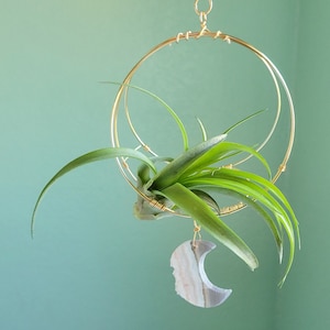 May include: A gold metal hoop plant hanger with a green air plant inside. A crescent moon shaped stone hangs from the bottom of the hoop.