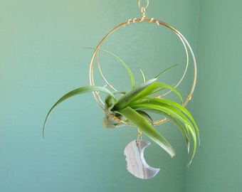 Air Plant Holder With Crystal Moon, Celestial Hanging Planter, Airplant Wall Decor With Crescent Moon, Free Gift Box