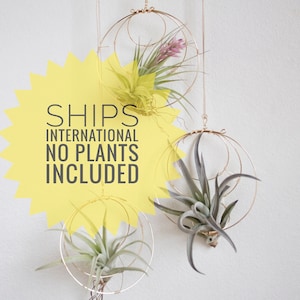Air Plant Nests, NO PLANTS Included, diy Air Plant Garden