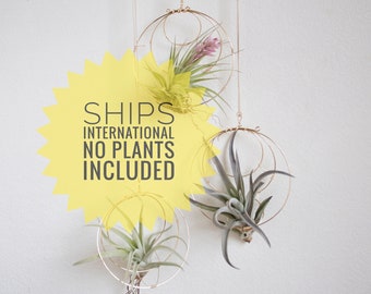 Air Plant Nests, NO PLANTS Included, diy Air Plant Garden