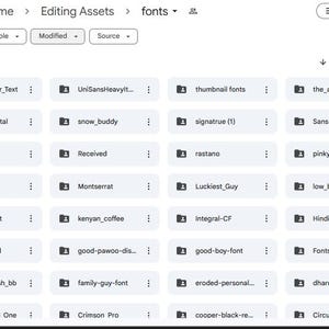 K&ouml;nnte beinhalten: Screenshot einer digitalen Dateiverwaltungsoberfl&auml;che, die Ordner mit Schriftartennamen anzeigt. Die Oberfl&auml;che enth&auml;lt Optionen zum Sortieren und Filtern von Dateien, mit Fokus auf typografische Ressourcen.