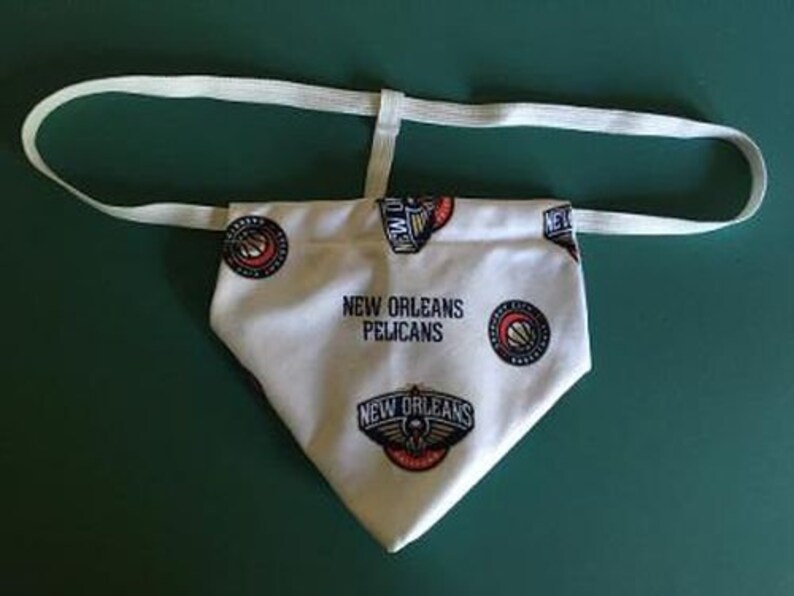 Mens NEW ORLEANS PELICANS String Thong Basketball Male Lingerie Underwear image 1