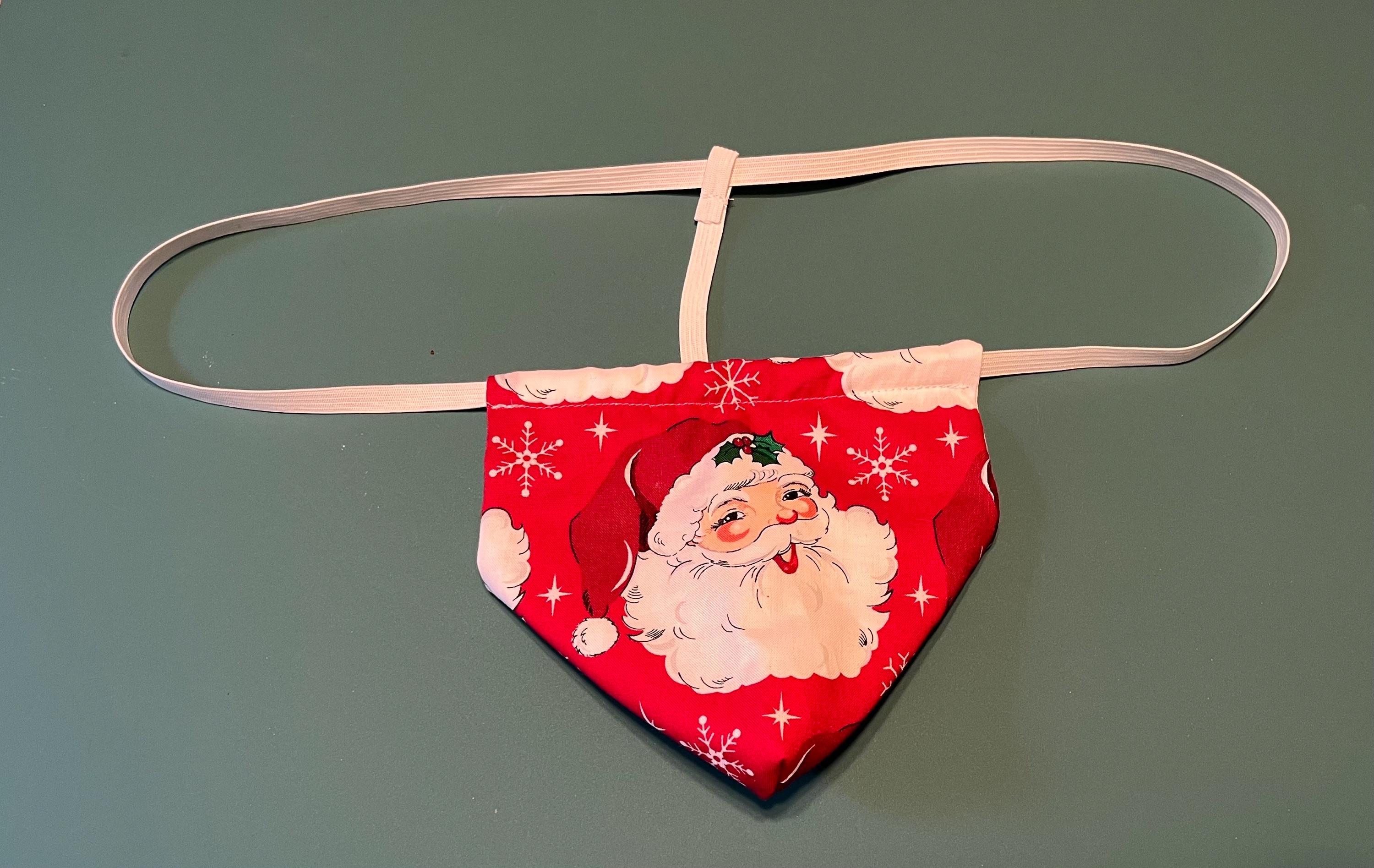 sexy christmas lingerie men Kiss Me Under the Mistletoe Christmas Mens G-String Underwear