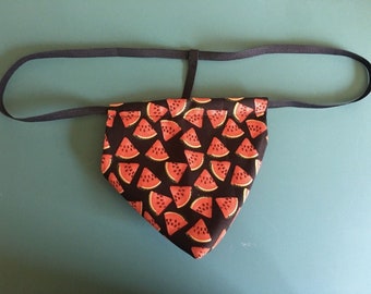 Mens WATERMELON Fruit String Thong Male Picnic Underwear