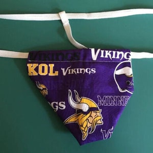 Mens MINNESOTA VIKINGS String Thong Football Male Lingerie Underwear