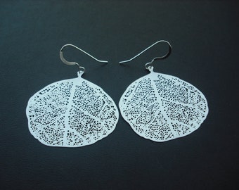 matte filigree leaf earrings- white gold plated and sterling silver ear wires