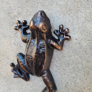 May include: A black cast iron frog figurine with a shiny, metallic finish. The frog is posed with its legs outstretched and its head tilted up.