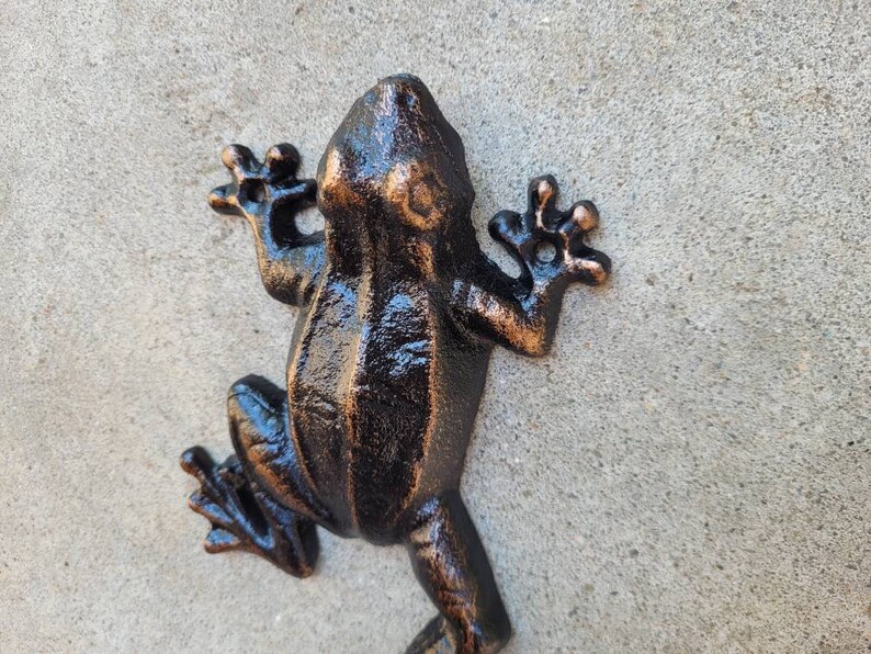 May include: A black cast iron frog figurine with a shiny, metallic finish. The frog is posed with its legs outstretched and its head tilted up.
