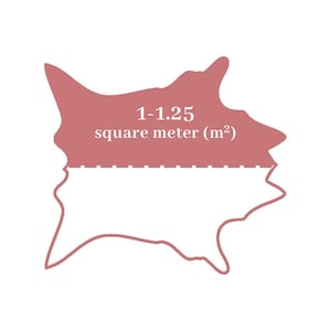 May include: A stylized, abstract shape in a muted rose color, with the text "1-1.25 square meter (m&sup2;)" displayed prominently. The design includes a dashed line, suggesting a measurement or boundary.