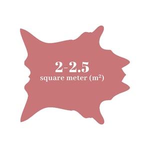 May include: A dusty rose-colored irregular shape with the text "2-2.5 square meter (m&sup2;)" in white. The shape is against a white background. The text indicates the area of the shape.
