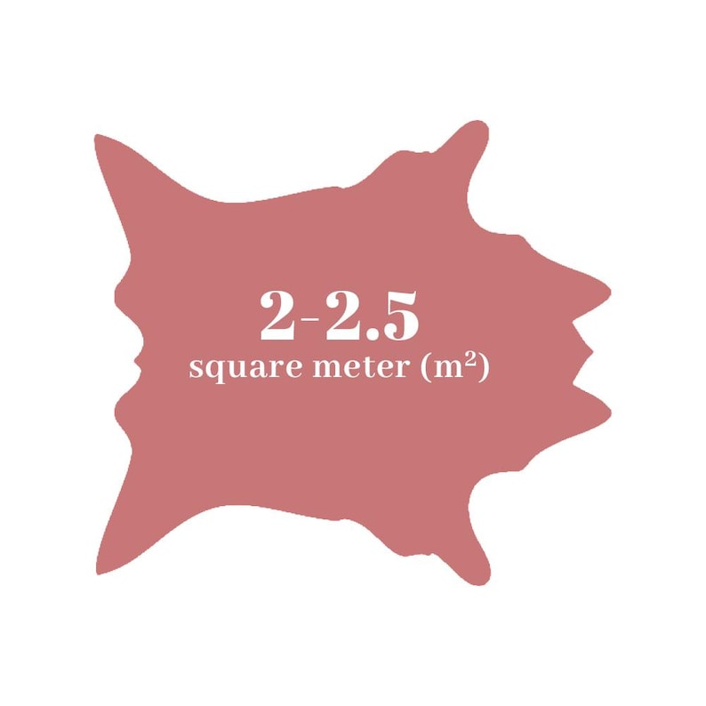 May include: A dusty rose-colored irregular shape with the text "2-2.5 square meter (m&sup2;)" in white. The shape is against a white background. The text indicates the area of the shape.