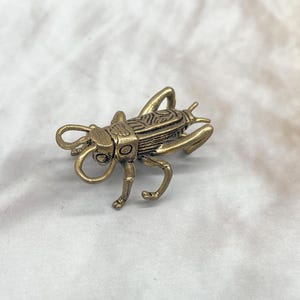 Mosiężna figurka świerszcza – ręcznie wykonana rzeźba owada w stylu vintage – symbol szczęścia i natury – dekoracja biurka lub półki