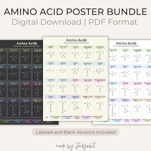 Amino Acid Poster Digital Download – Study Sheet for Biochemistry, MCAT, Biology Students (PDF)