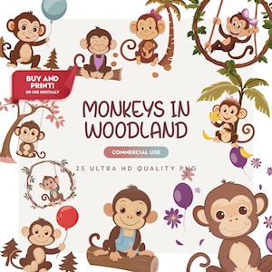 Monkeys in Woodland Clipart - Cute Baby Monkey PNG - Safari Jungle Animals - Girl and Boy Birthday - Funny Monkey Sublimation Commercial Use