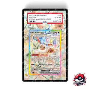 May include: A framed Pokémon trading card featuring Eevee EX. The card has a colorful illustration of Eevee with the text "Rainbow DNA" and "Coruscating Quartz". The frame includes a PSA certification label.
