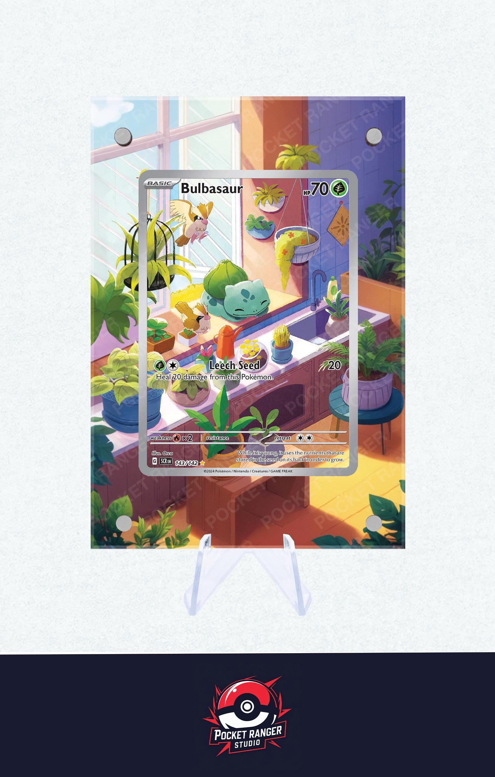Bulbasaur Promo - Pokémon Extended Artwork Display Case - Etsy