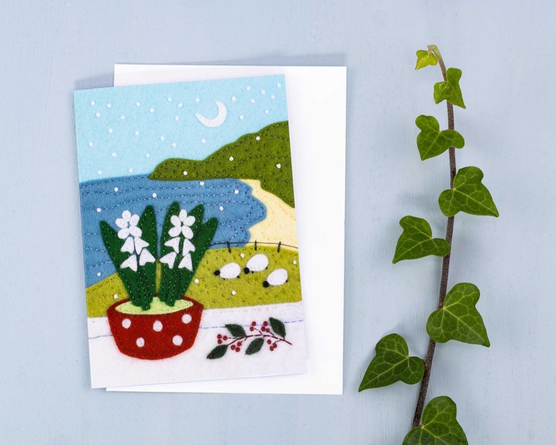 Hyacinth Christmas Cards, Irish Landscape Greeting Card Pack. image 1