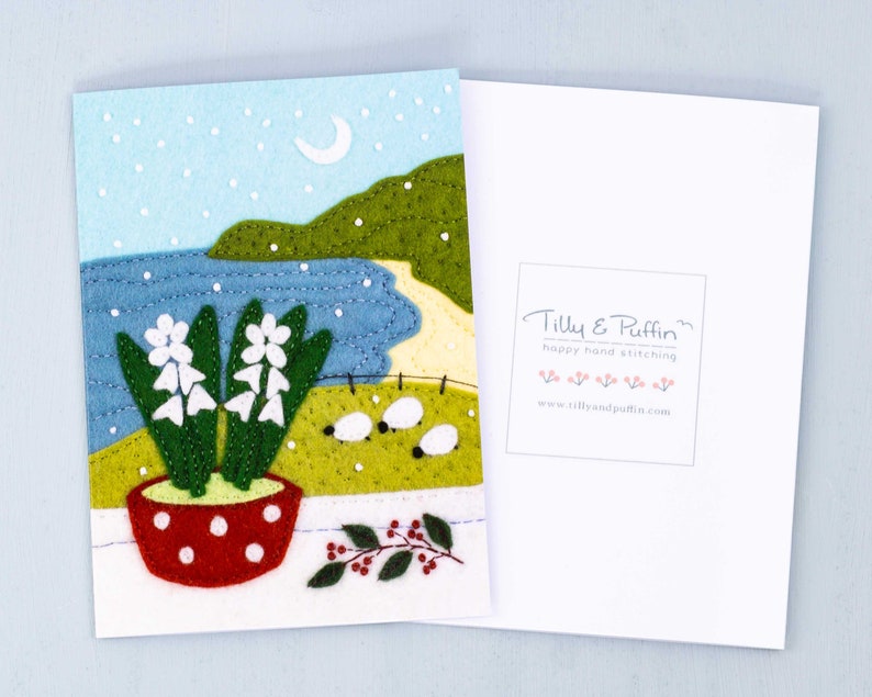 Hyacinth Christmas Cards, Irish Landscape Greeting Card Pack. image 3