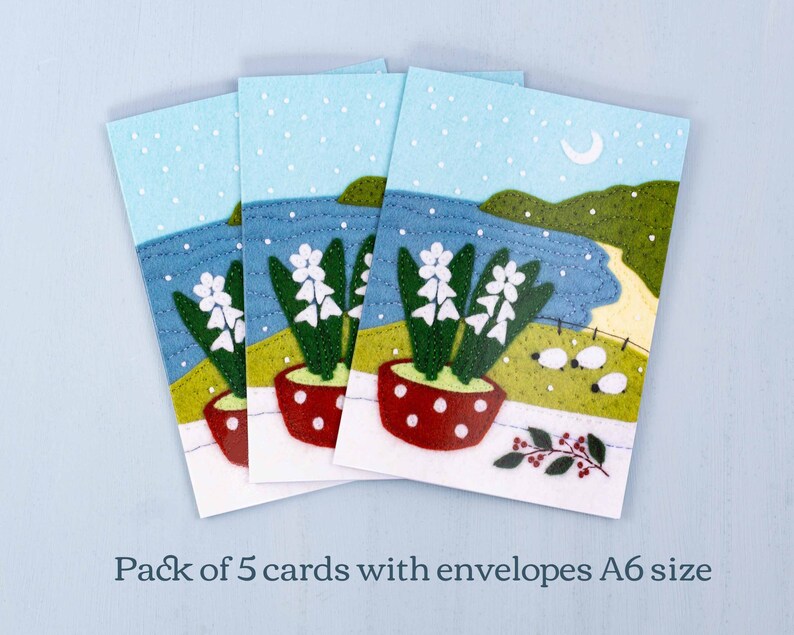 Hyacinth Christmas Cards, Irish Landscape Greeting Card Pack. image 4