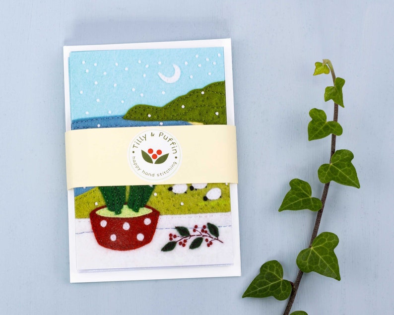 Hyacinth Christmas Cards, Irish Landscape Greeting Card Pack. image 5