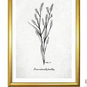 以下が含まれることがあります： 金色のフレームに入った、植物の白黒線画が特徴のボタニカルプリント。 プリントは金色のフレームに入っており、「I am naturally healthy」というテキストが含まれています。