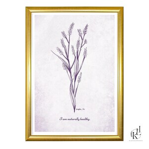 以下が含まれることがあります： 長い葉と穂を持つ植物の紫色の植物画が描かれた額入りのプリント。アートワークは、テクスチャ加工されたオフホワイトの背景に配置され、金色のフレームに収められています。「I am naturally healthy」というテキストが下にあります。