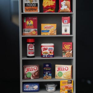 Puede incluir: Un estante de supermercado en miniatura con varios artículos de comida, que incluyen Ore Ida Golden Crinkles, galletas Conchas, mango orgánico seco Sun-Maid, queso Velveeta, relleno Stove Top, pudín Jell-O y Lunchables.