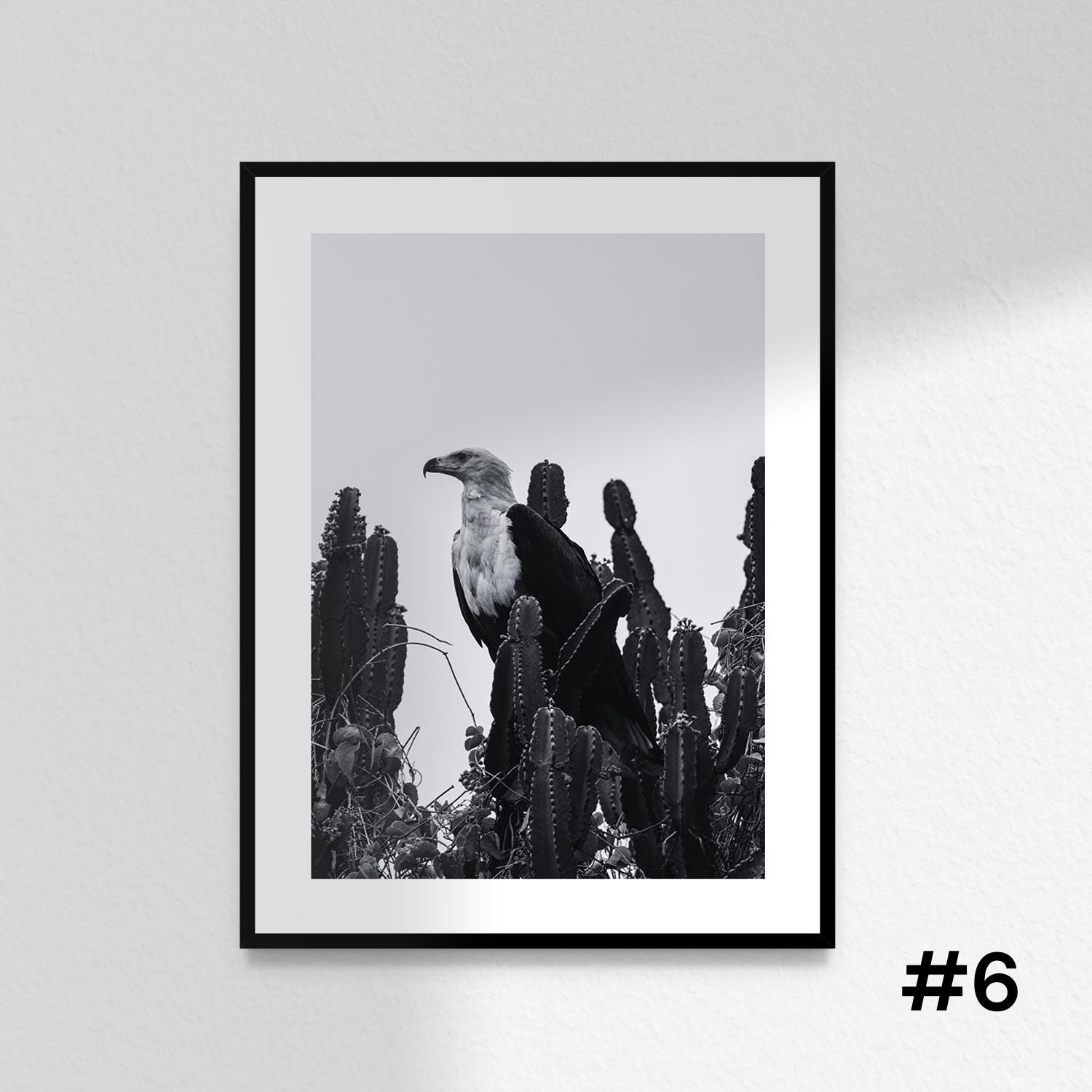Zimbabwe Black and White Photos Set of 6, 2, 3, 4, 5 Harare Photos
