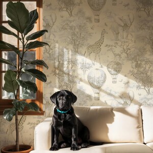 May include: A black Labrador puppy wearing a blue collar sits on a cream sofa. The background features beige wallpaper with a safari theme, including elephants, giraffes, and hot air balloons. A large potted plant is to the left.