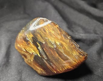 XL Amber Specimen Millions of Years Old