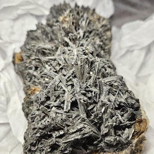 Dravite Tourmaline Crystal / Mineral Raw