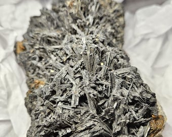 Dravite Tourmaline Crystal / Mineral Raw