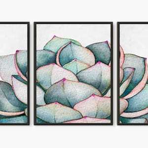 Sukkulenten Pflanzendruck, Botanischer Druck Set, Sukkulenten Wandkunst, Kaktus Wandkunst, Sukkulenten Aquarell, Botanisches Set mit 3 Drucken, Kaktus Kunst