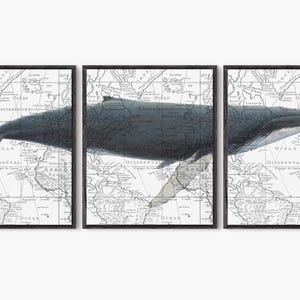 Buckelwal, 3er Set, Walfisch, Meeresbiologie, Aquarell Wal, Nautische Wandkunst, Walmalerei, Meerestiere