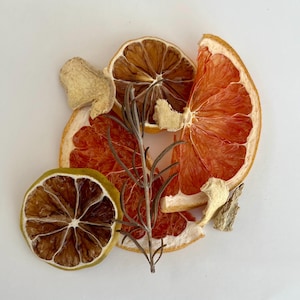 May include: Dried citrus fruit slices, including lemon, grapefruit, and orange, with a sprig of rosemary and pieces of dried ginger.
