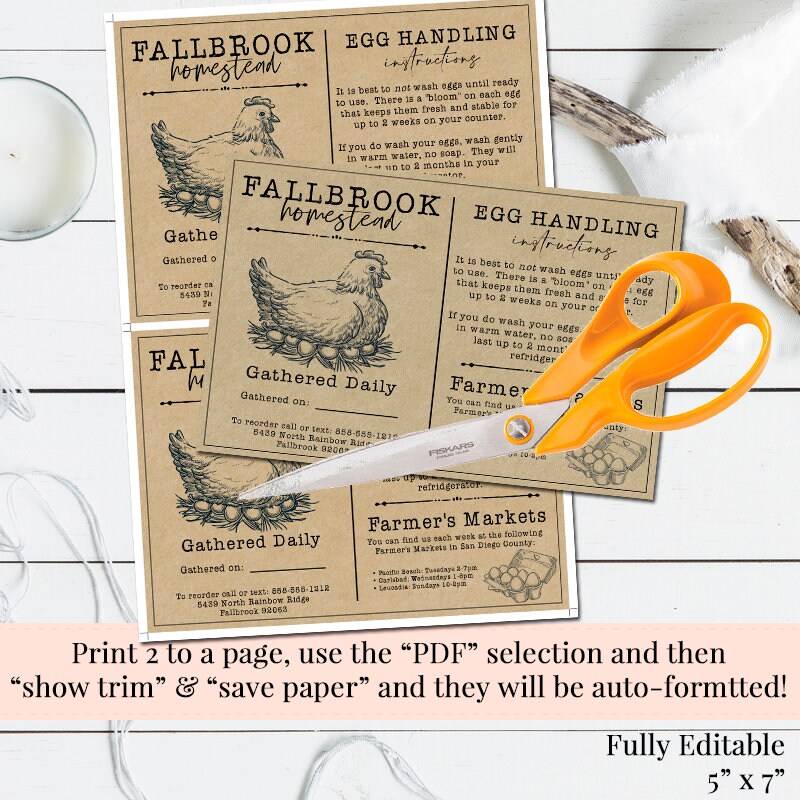 egg-handling-instructions-editable-egg-carton-label-farmers-market-flyer-fresh-egg-flyer-chicken-coop-label-safe-egg-instructions-etsy