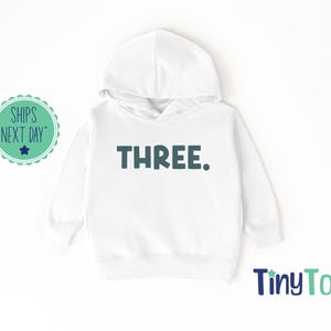 Three Hoodie for Boys 3rd Birthday Shirt Three Shirt BoyThird Birthday Toddler T Shirt Natural Toddler Shirt 3rd Birthday Shirt Toddler