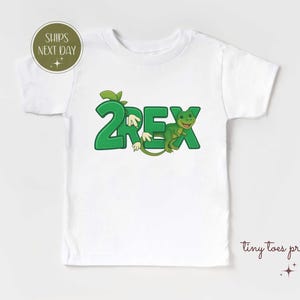Two Rex Dinosaur 2nd Birthday Shirt - Boys Dinosaur Birthday Tee - T Rex Birthday Shirt - 2nd Birthday Tee - Kids Shirt