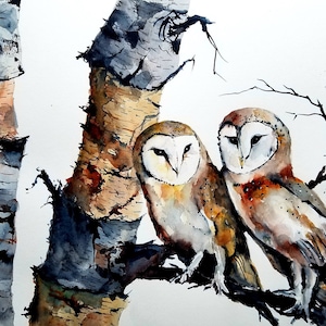 Barn owl Print, owl prints, animal art, bird painting, animals, watercolor print, birch tree print, wall art, animal wall art, prints,