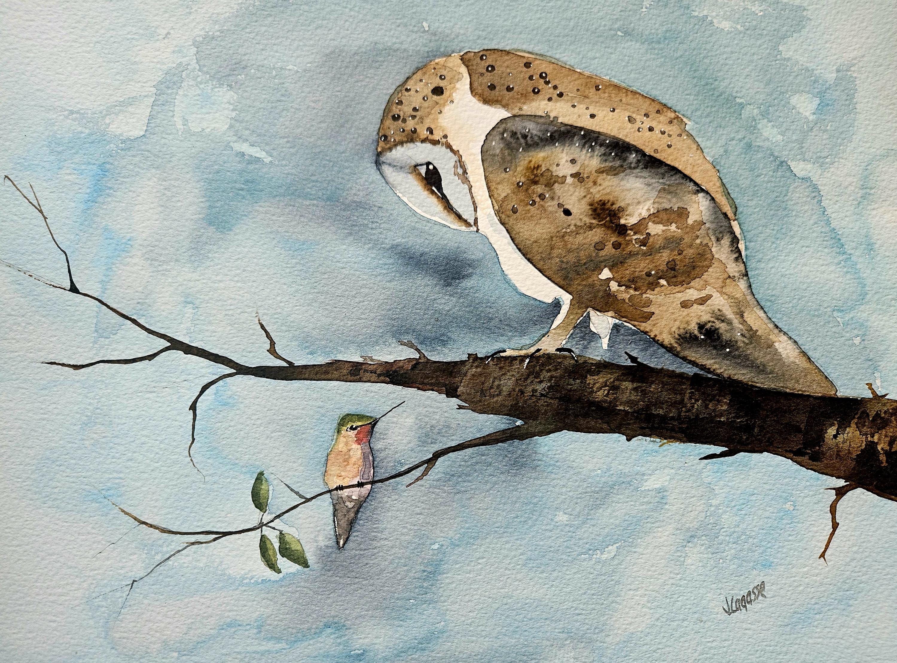 Barn owl Print, owl prints, animal art, bird painting, humming bird, watercolor print, birch tree pr