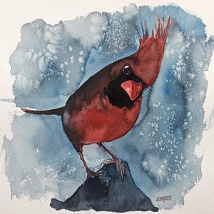 Cardinal bird Painting original watercolor painting, bird art,cardinal painting, cardinal art, bird painting, home decor, artist Jim Lagasse