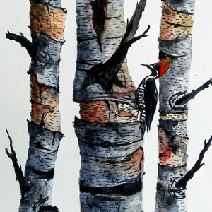 Original colorful print/BIRCH TREES /landscape original watercolor Print/  Wall PRINT /print birch trees/home decor/wall decor