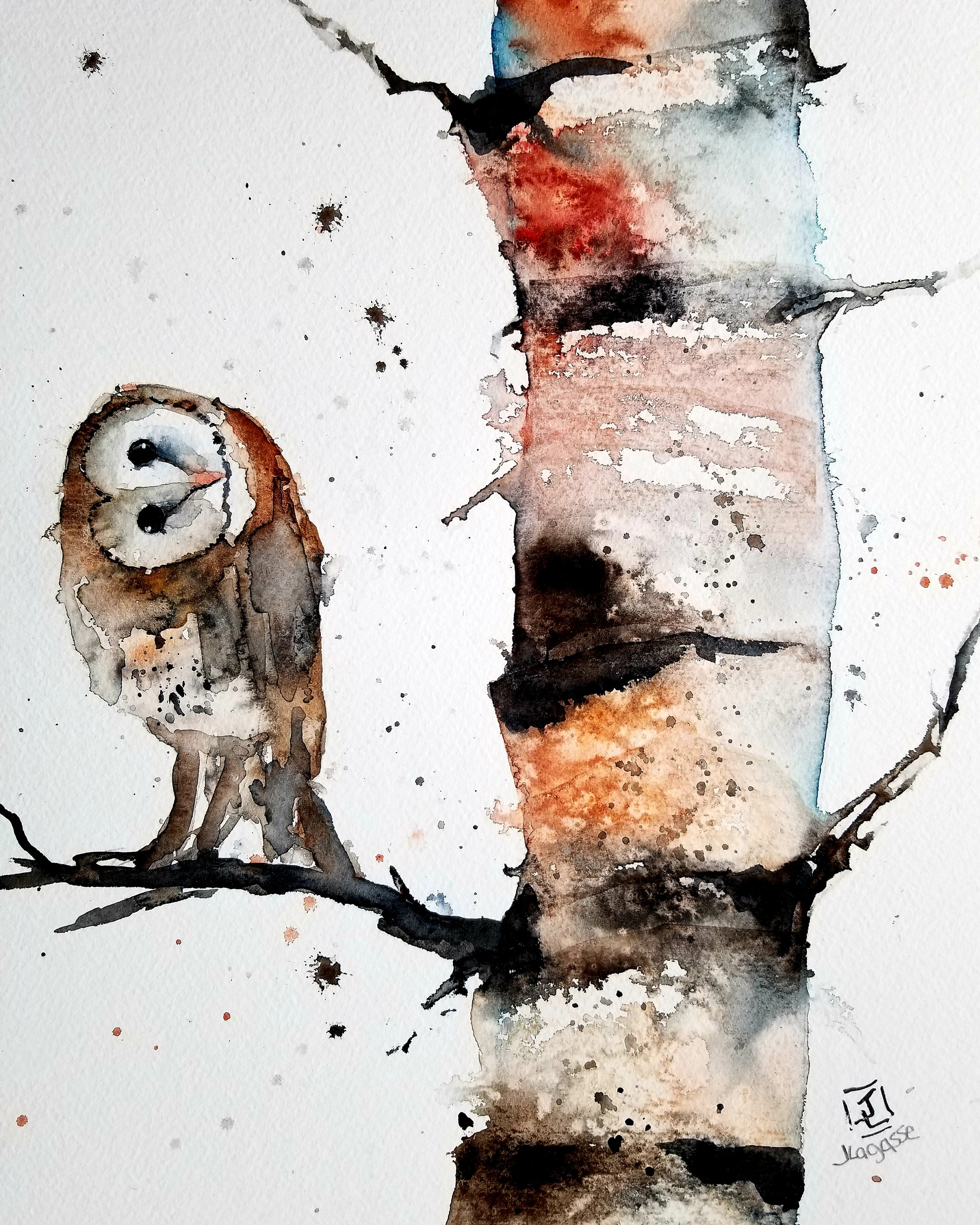 Barn owl Print, owl prints, animal art, bird painting, animals, watercolor print, birch tree print,