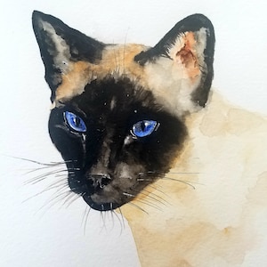 Watercolor cat painting, cat art, cat print, watercolor painting, siamese cat painting, cream, watercolor animals, siamese cat