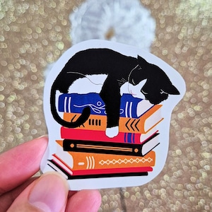 Cute cat sticker, black cat stickers, laptop sticker cat, cute cat sticker, laptop sticker, computer sticker, sticker cat sleeping and books
