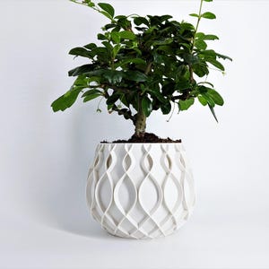 May include: A white, decorative plant pot with a unique, wave-like pattern. The pot holds a small, green-leafed plant. The pot is approximately 25 cm in diameter and 20 cm tall.