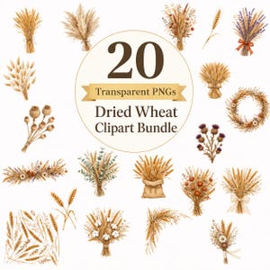 May include: A digital collection of 20 transparent PNG files featuring watercolour illustrations of dried wheat, pampas grass, lavender, poppy pods, and thistle. The central text reads 20 Transparent PNGs Dried Wheat Clipart Bundle.